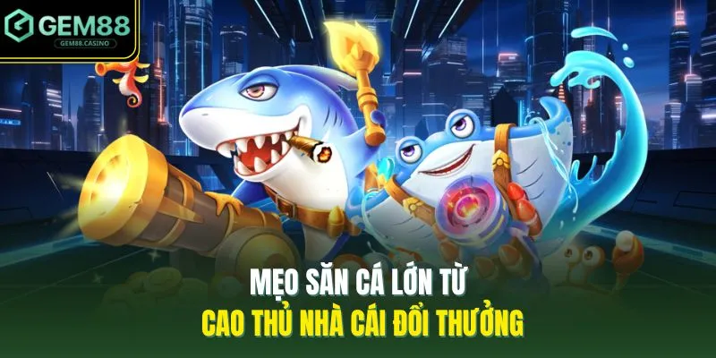 Mẹo săn cá lớn từ cao thủ nhà cái đổi thưởng