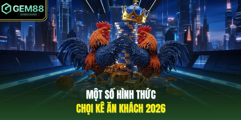 Một số hình thức chọi kê ăn khách 2026